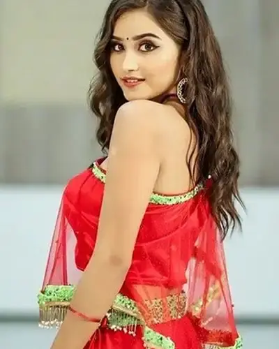 Escort In Palnadu